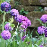 Lejlighed Wohlfuehloase Fuer Natur- Und Gartenliebhaber By Interhome Walkenried