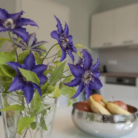 Lejlighed Wohlfuehloase Fuer Natur- Und Gartenliebhaber By Interhome *