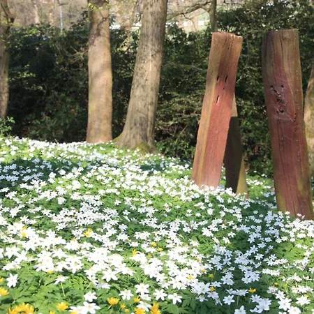 Wohlfuehloase Fuer Natur- Und Gartenliebhaber By Interhome Lejlighed