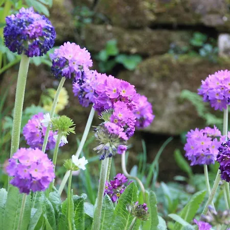 Lejlighed Wohlfuehloase Fuer Natur- Und Gartenliebhaber By Interhome Walkenried