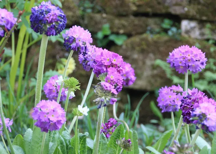 Daire Wohlfuehloase Fuer Natur- Und Gartenliebhaber By Interhome Walkenried